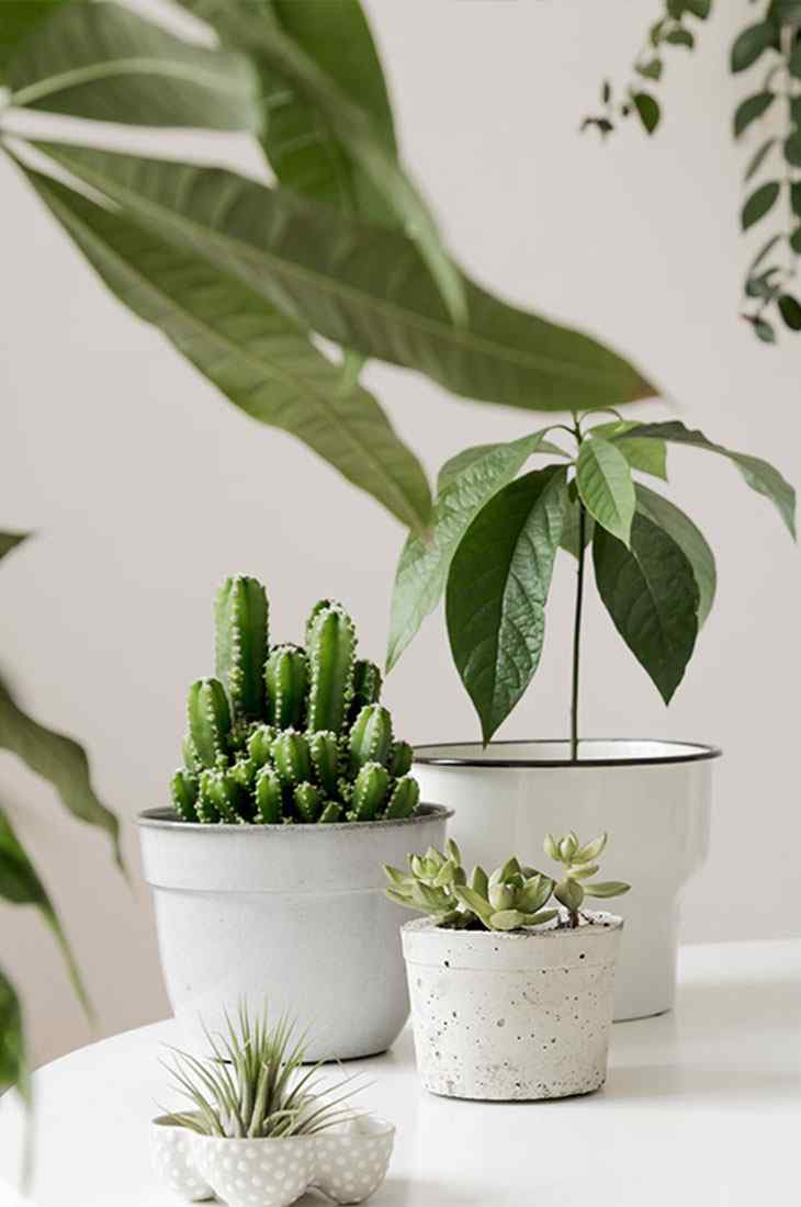 https://www.relandscapesonoma.com/wp-content/uploads/2019/10/inner_quote.jpg